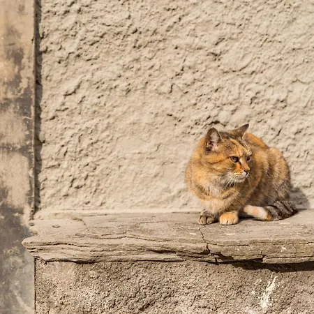 La Luna Nel Castello